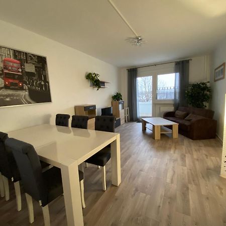 Elbperle Wunderschoene Ferien Und Handwerker Wohnung ماغديبورغ المظهر الخارجي الصورة